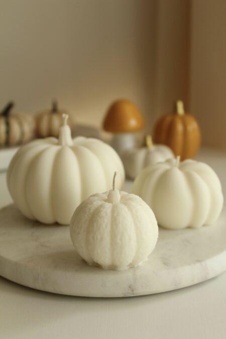 Zestaw Scary Family #5